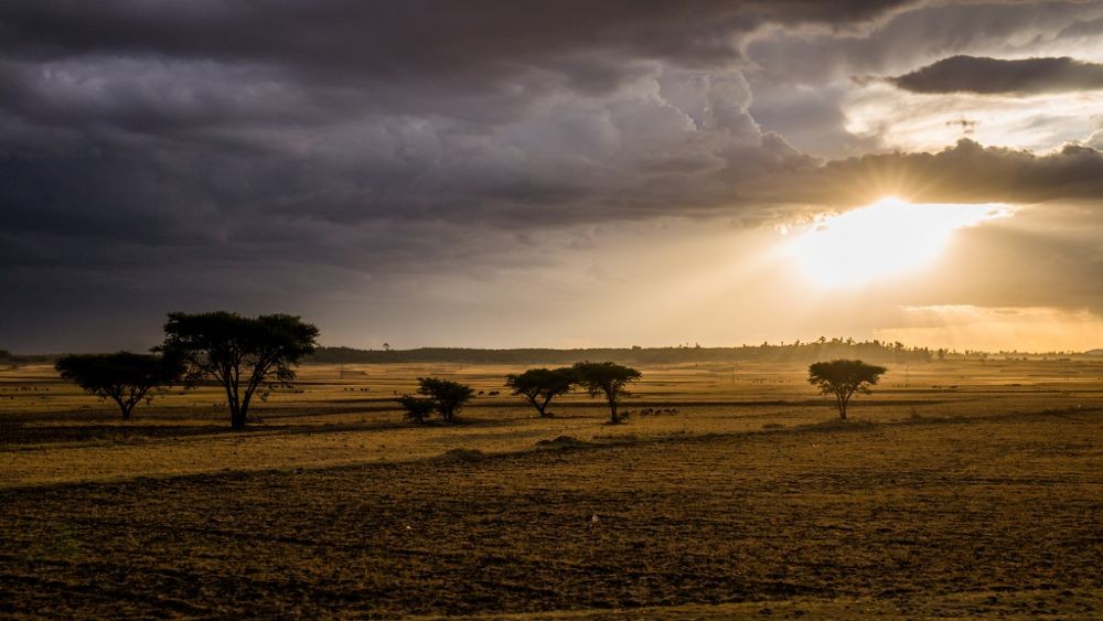 Afrika na Pionieri